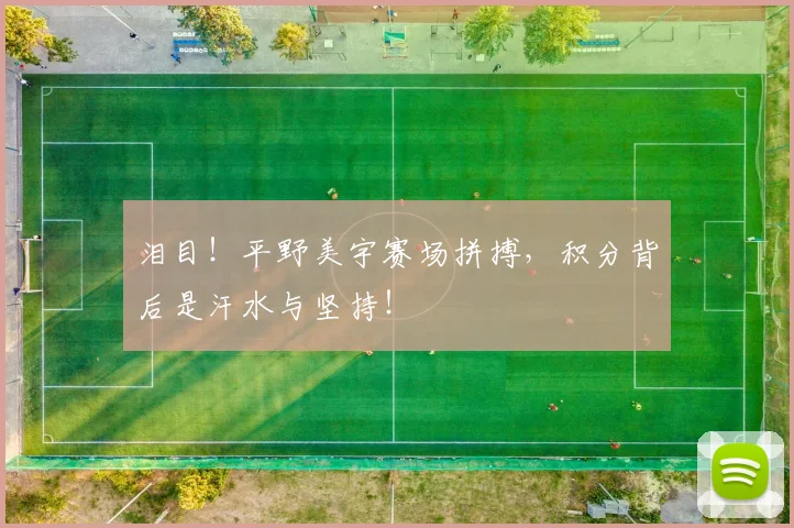 泪目！平野美宇赛场拼搏，积分背后是汗水与坚持！