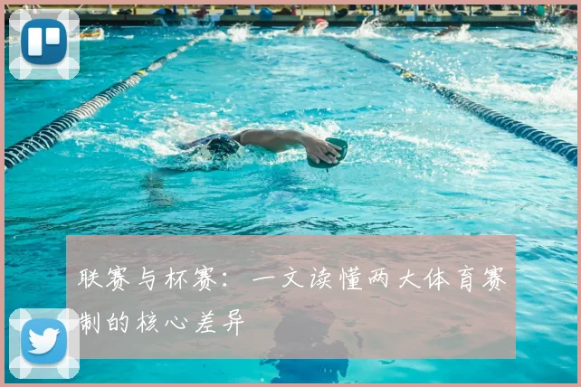 联赛与杯赛：一文读懂两大体育赛制的核心差异